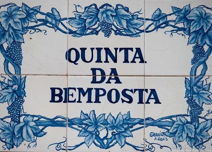 Quinta Da Bemposta Joane