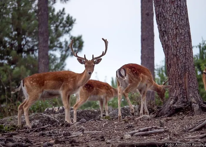 Quinta Da Bemposta Alojamento de Turismo Rural *