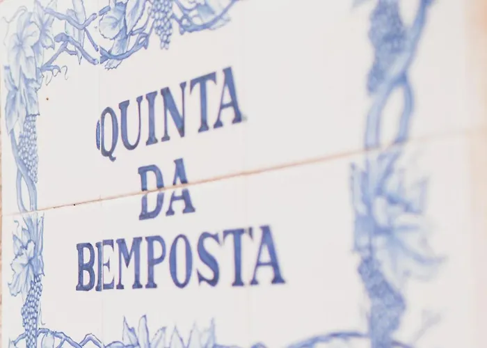 Quinta Da Bemposta Joane